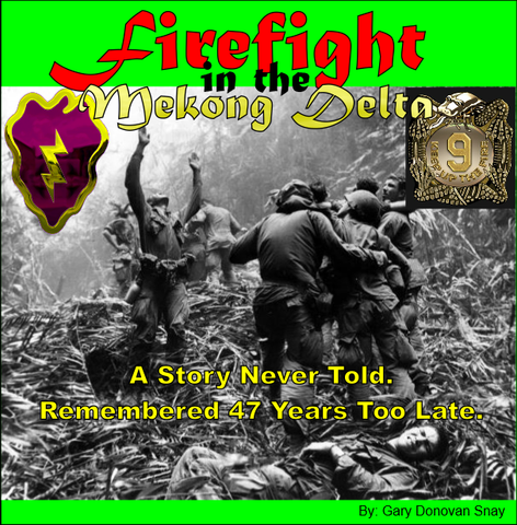 Firefight in the Mekong Delta